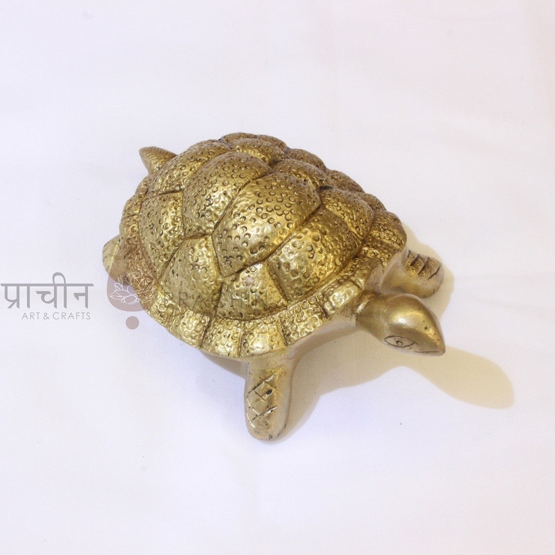 Tortoise