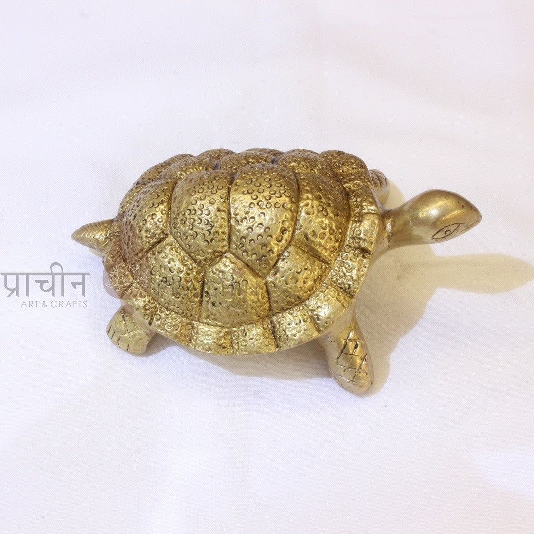 Tortoise