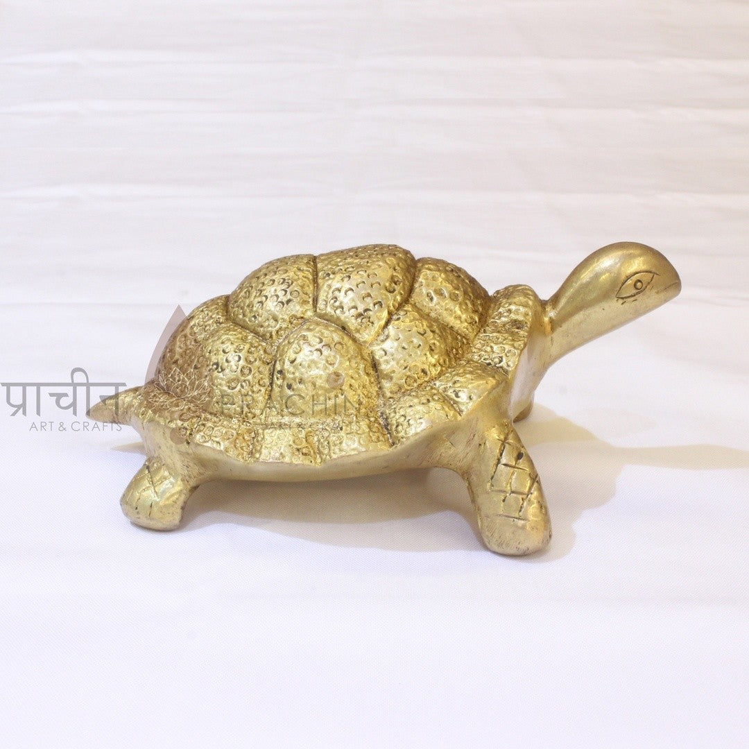Tortoise
