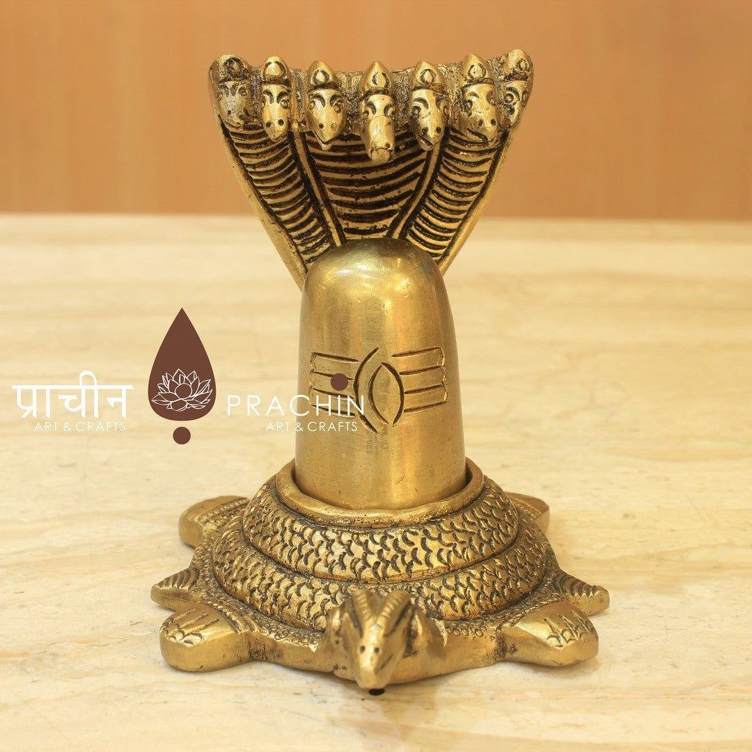 Shiva Linga on Tortoise