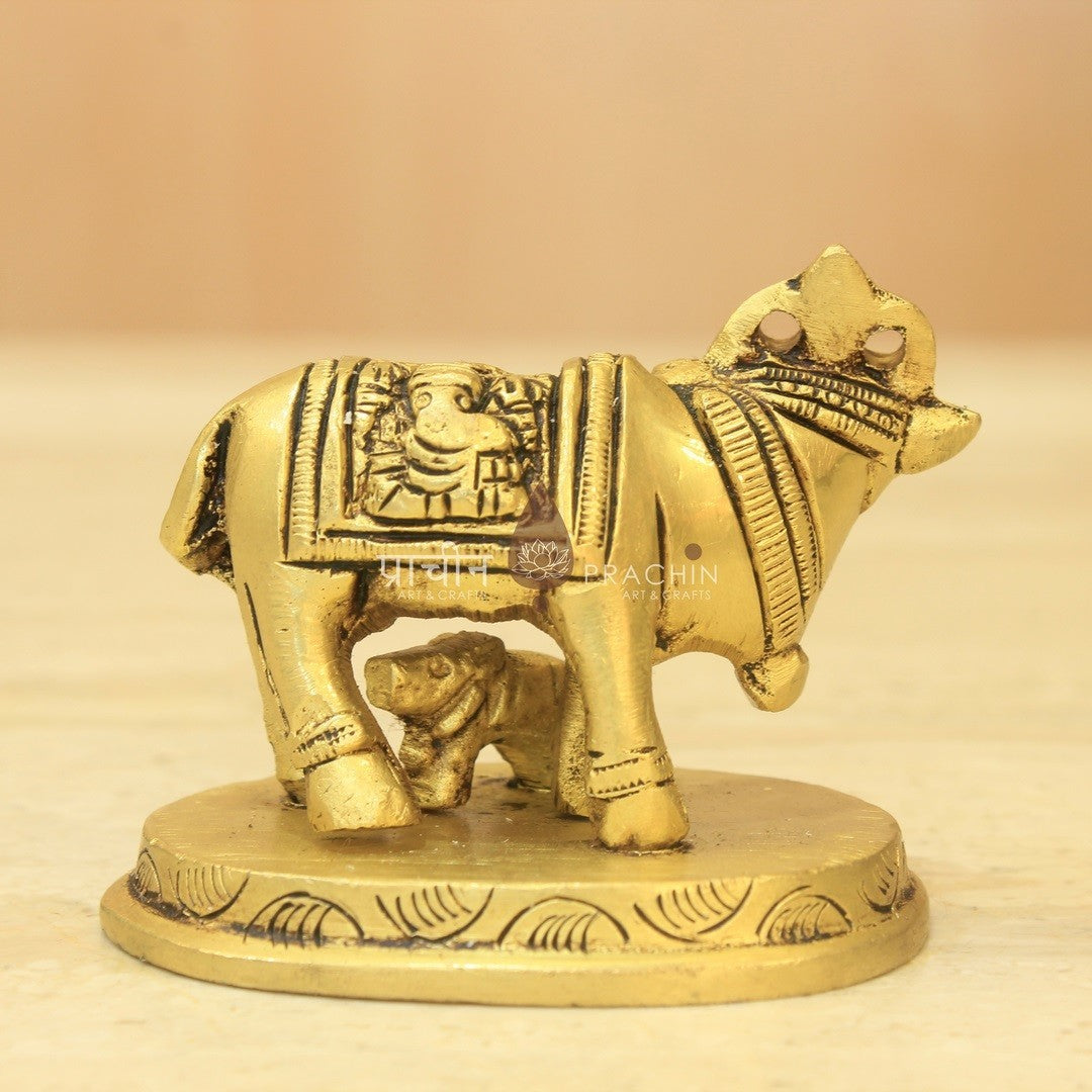 Cow And Calf