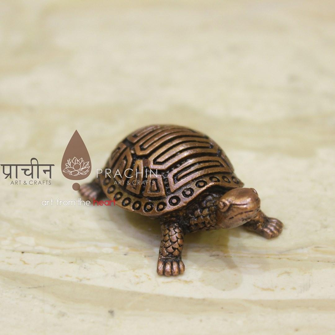 Tortoise