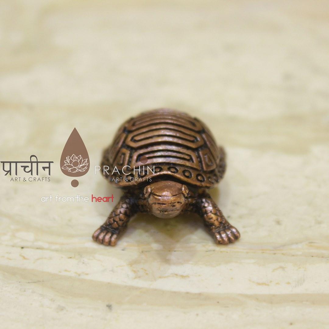 Tortoise