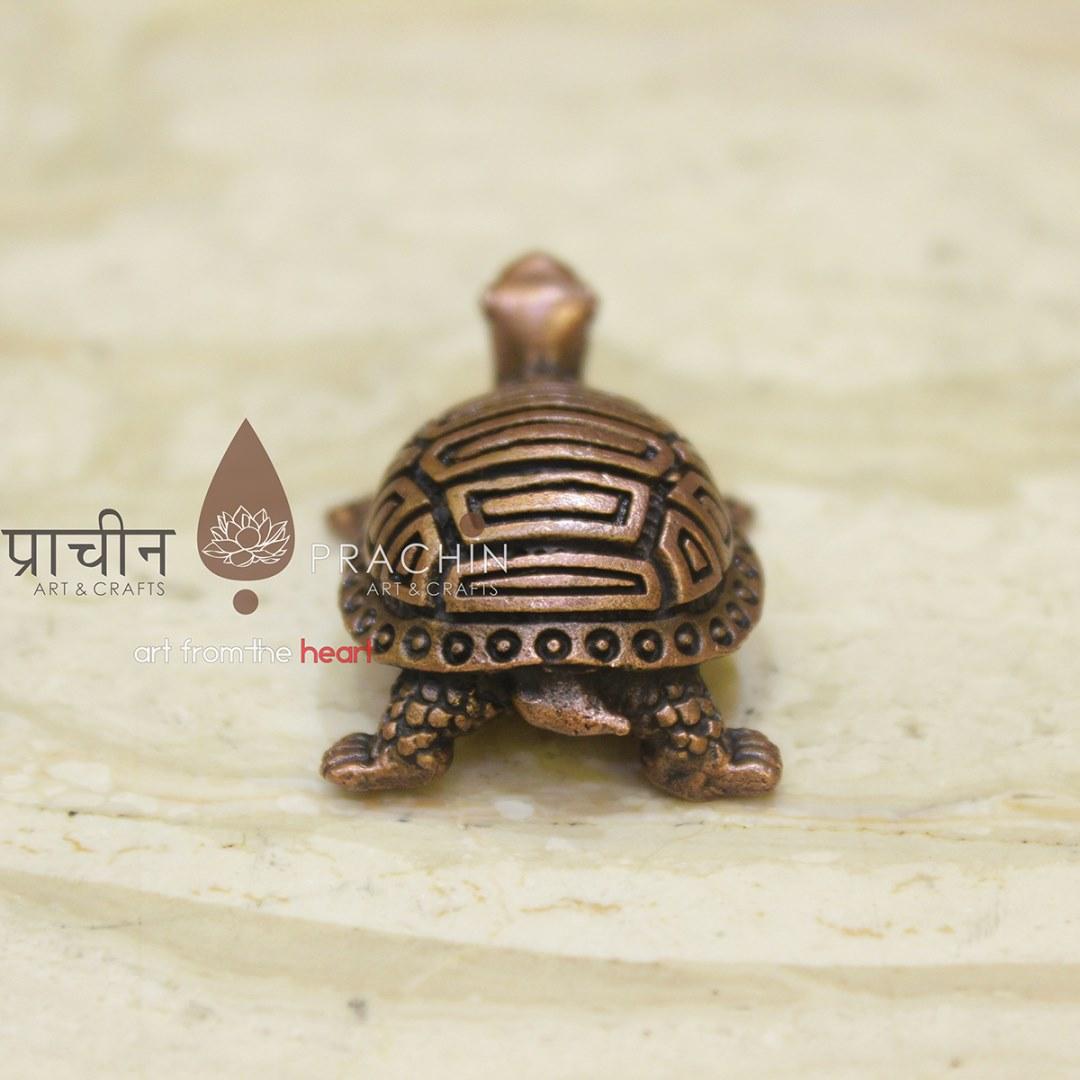 Tortoise