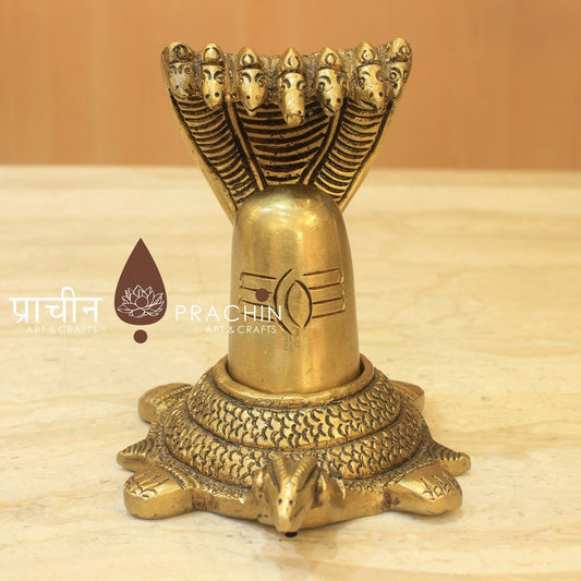 Shiva Linga on Tortoise