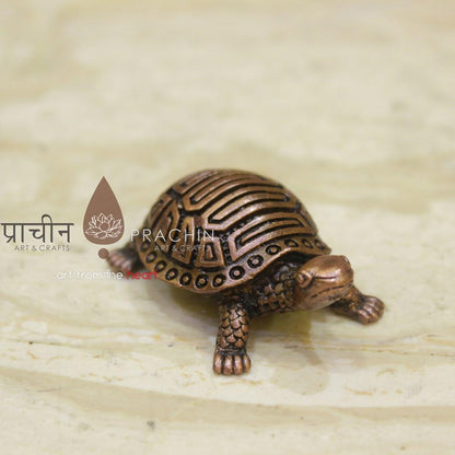 Tortoise