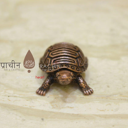 Tortoise