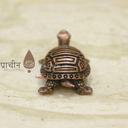 Tortoise