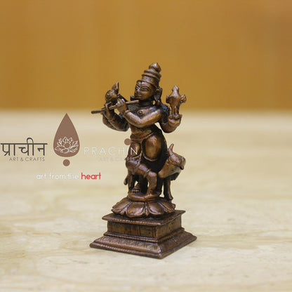 Cow Krishna