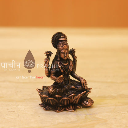 Laxmi Sitting