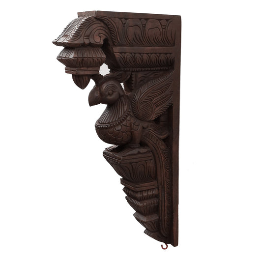 Wooden Hanging Parrot Bracket
